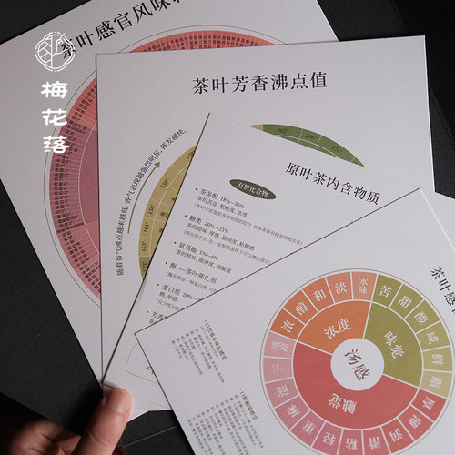 山风照月中国茶叶风味轮