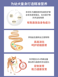 成犬幼犬优肠金毛拉布拉多泰迪柯基柴犬 心粮原始动力狗粮20kg装