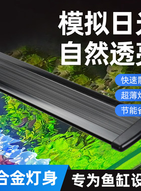 鱼缸灯LED水草照明鱼缸灯防贱水小型全光谱专用照明观赏灯管夹灯