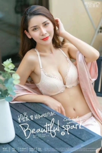 艾芘基妮新品带钻黑色蕾丝无钢圈内衣亮前开扣文胸罩168款