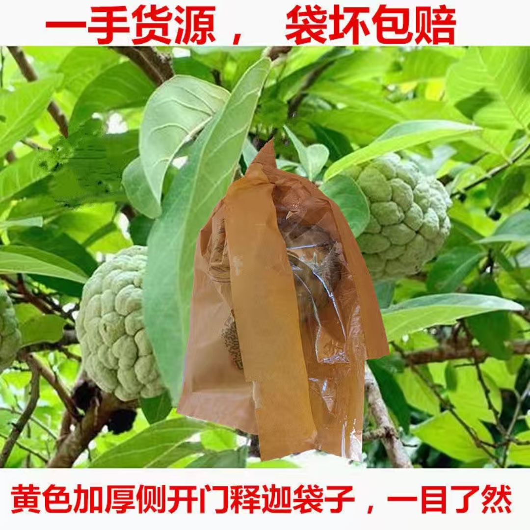 释迦加厚开窗防水防晒双层套袋