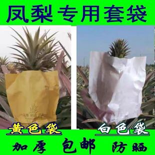 凤梨加厚套袋菠萝凤梨专用套袋防晒黄梨纸袋防水保护袋厂家直销