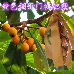 枇杷专用套袋芒果套袋柚子桃子袋梨子双层遮光纸袋防雨防虫防晒袋
