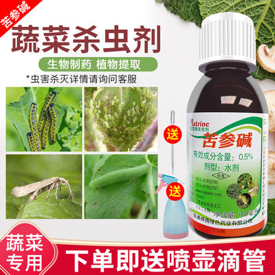 蔬菜杀虫剂无公害植物月季