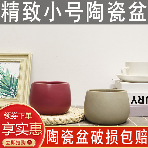 中式陶瓷盆植物专用好养透气