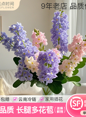 花点时间紫罗兰鲜花紫色浅粉色云南直发室内办公室花瓶插花水养