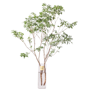 马醉木绿植家居森林感花点时间