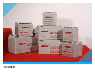 正品BAYKEE柏克蓄电池6GFM100 12V100AH  ups 电力 通信 太阳能