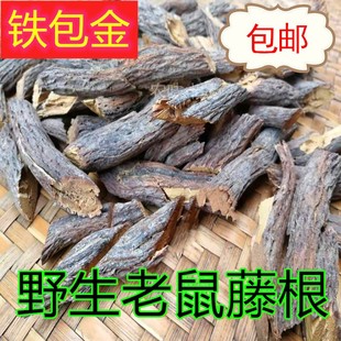 福建中药材 铁包金 藤根乌龙根勾儿茶老鼠藤根耳乌金藤乌金米草根