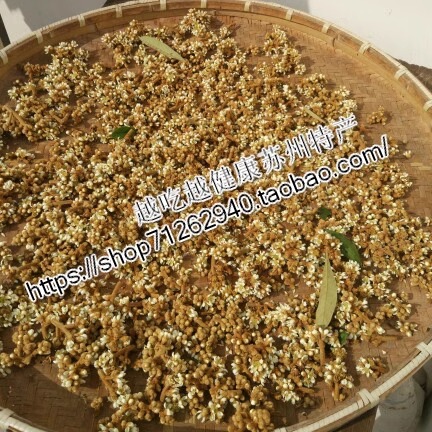 2025苏州西山新鲜青种枇杷花天然花蕾花苞 现采现发 未晒干枇杷花