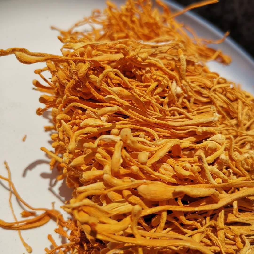 500g一斤北虫草虫草花干货泡茶煲粥煲汤食材食用菌干货农产品