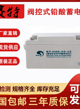 赛特蓄电池BT-12V7AH12AH17AH24ah38AH65AH100AH150A海湾消防主机