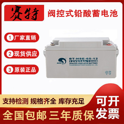 赛特蓄电池消防主机蓄电池