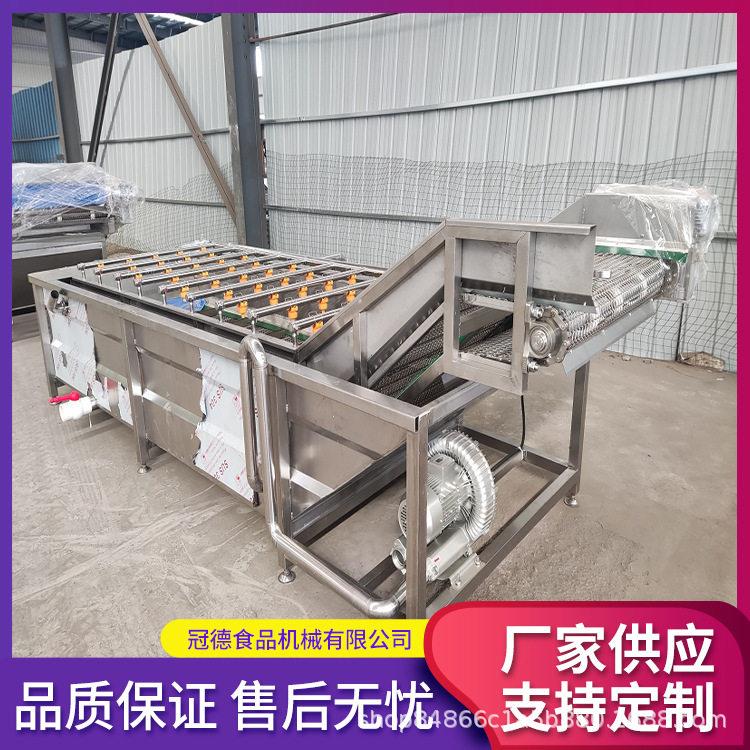 商用大型气泡果蔬洗菜机海鲜清洗机农产品肉类解冻设备生产厂家图片