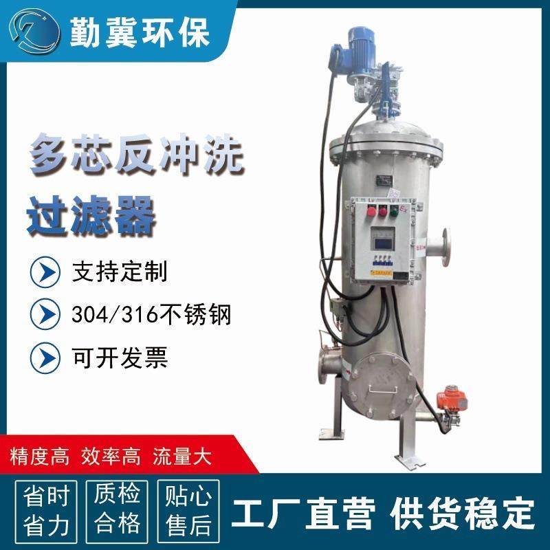多芯反冲洗过滤器全自动定时压差排污滤水器精度高流量大
