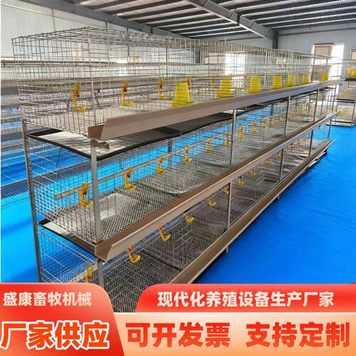 农用畜牧含托粪盘肉鸡笼立体式4层2门鸡笼肉鸡育雏笼公鸡种鸡笼