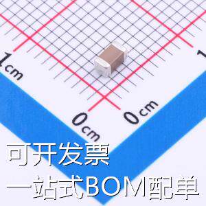 FP31X105K101EPG 贴片电容(MLCC) 1uF ±10% 100V 存储器 现货