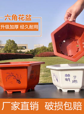 六角花盆红白特大号绿萝多肉加厚塑料盆种花盆景花卉盆栽种菜花盆