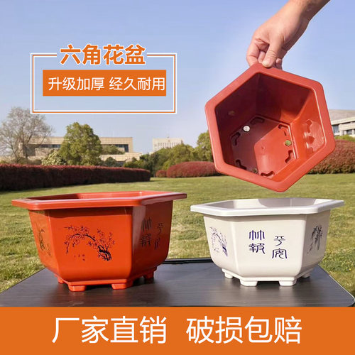 六角花盆红白特大号绿萝多肉加厚塑料盆种花盆景花卉盆栽种菜花盆