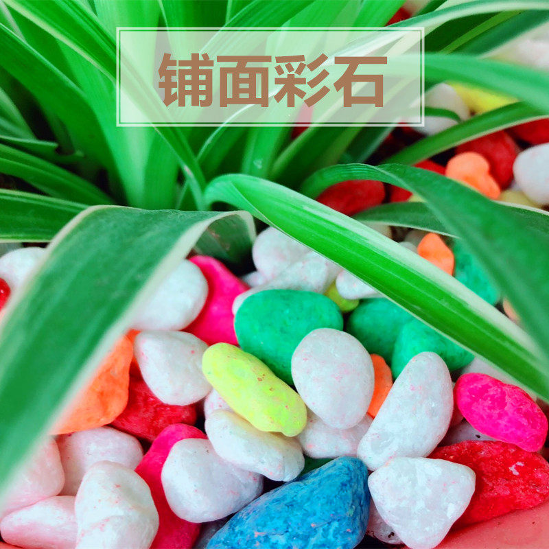 多肉植物花盆栽铺面石 五彩石头子彩石子彩色小石子 鱼缸装饰造景|msdalam kategori penghantaran bunga/bunga simulasi/tumbuhan berkebun, Gardening Supplies, Peralatan Perkebunan lain - dari Buy2taobao.com untuk memberikan perkhidmatan ejen Taobao profesional membeli