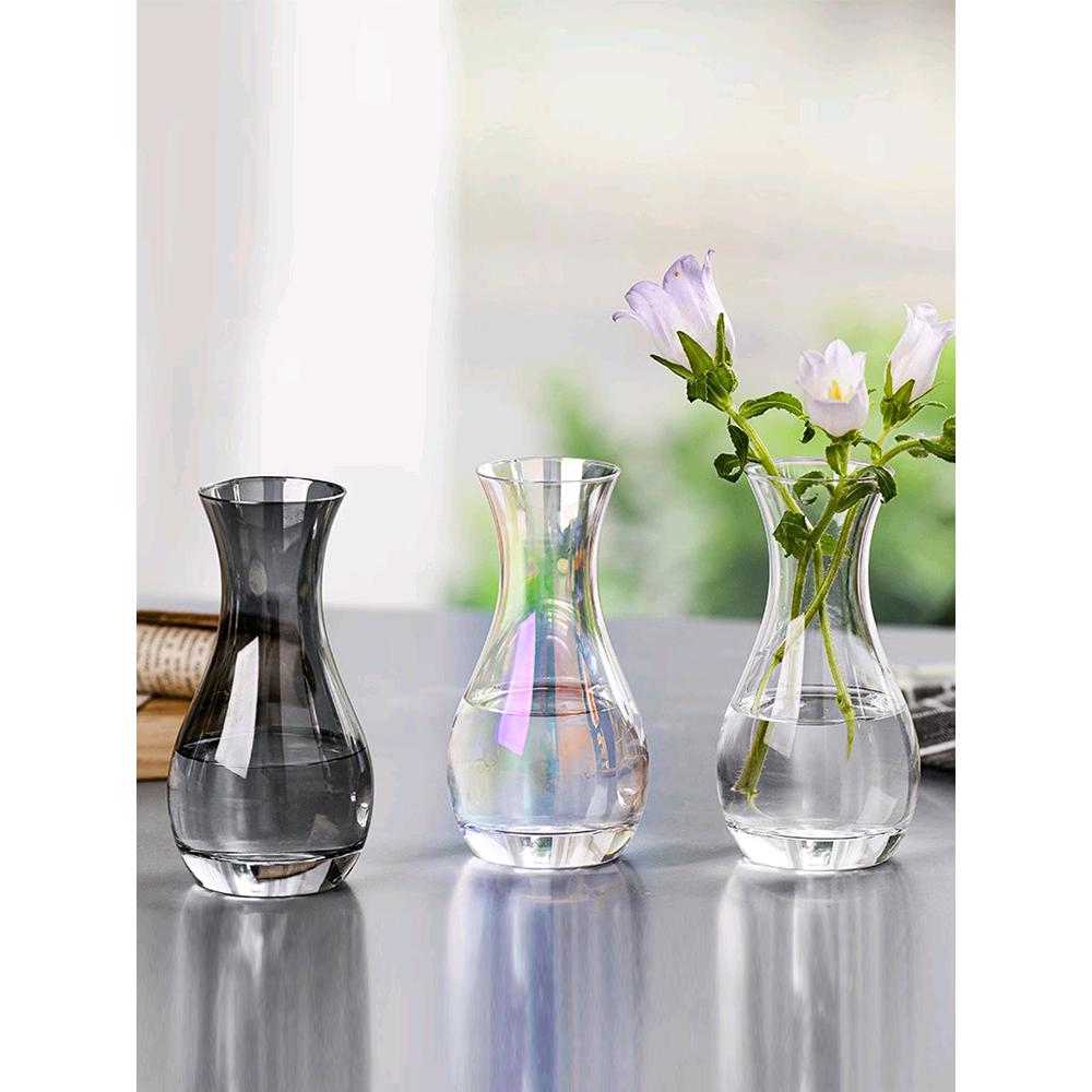 创意简约玻璃花瓶网红迷你精致水培鲜花绿植小号插花瓶桌面摆件