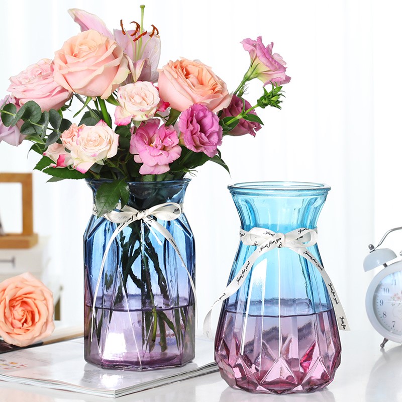 【两件套】创意小号玻璃花瓶透明绿萝水培花瓶 风信子插花瓶摆件