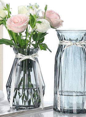 【二件套】简约大号玻璃花瓶透明彩色水培植物富贵竹干花插花摆件