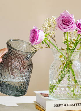 复古创意玻璃花瓶简约透明水培植物鲜花插花瓶餐桌客厅装饰摆件