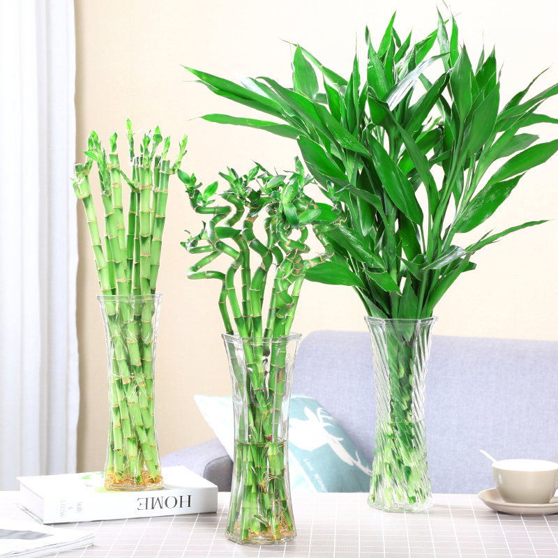 六角透明水培高款客厅装饰长花瓶