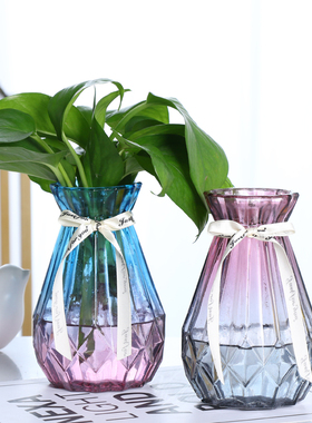 创意简约透明彩色玻璃花瓶水培绿萝植物风信子插花瓶客厅装饰摆件