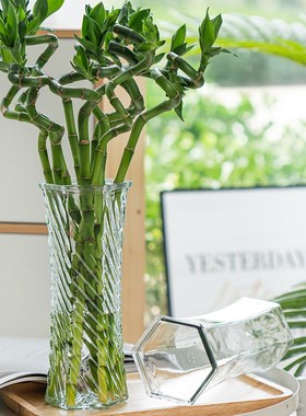 创意大号透明水培玻璃花瓶水养富贵竹百合干花插花瓶客厅装饰摆件
