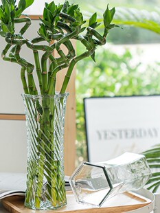 创意大号透明水培玻璃花瓶水养富贵竹百合干花插花瓶客厅装饰摆件