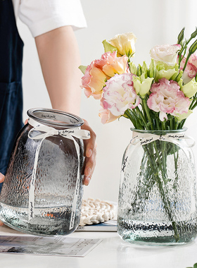 简约创意ins风玻璃花瓶网红水养鲜花干花插花花器客厅装饰摆件