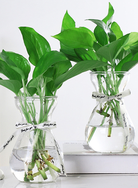 简约创意水培植物花瓶透明玻璃小清新水培绿萝风信子插花瓶摆件