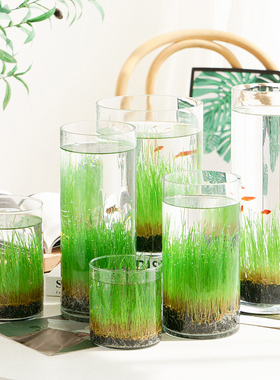 简约diy创意鱼缸生态瓶玻璃插花瓶水培草种子四季微景观装饰摆件