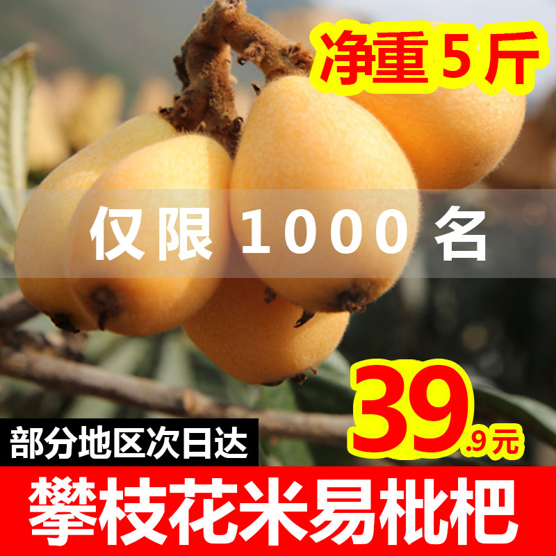 四川攀枝花米易枇杷新鲜水果五星云霄琵琶现摘当季5斤非顺丰包邮