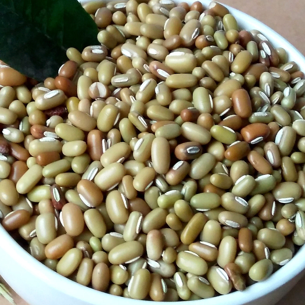 泸州新款古蔺高山小豆汤酸菜特产农家自制木姜油豆子豆米包邮川味