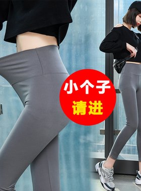 鲨鱼裤女打底外穿150小个子高腰收腹芭比海豚裤芭比灰色鲨皮裤8分