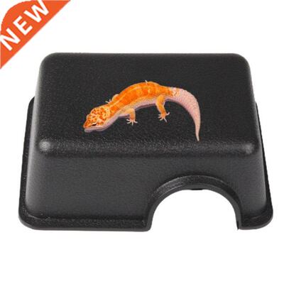 Snake Hdng Cave Reptle Hdeout Lzard Leopard Shelter Pet