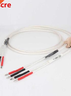 Free shipping 1 pair Odin speaker cable, Odin Reference lou