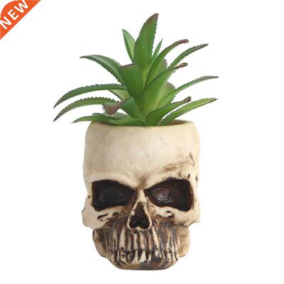 Human Skull Planter Pot Skull Head Model Succulent Planter