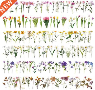 Flower sticker waterproof transparent PET ledger