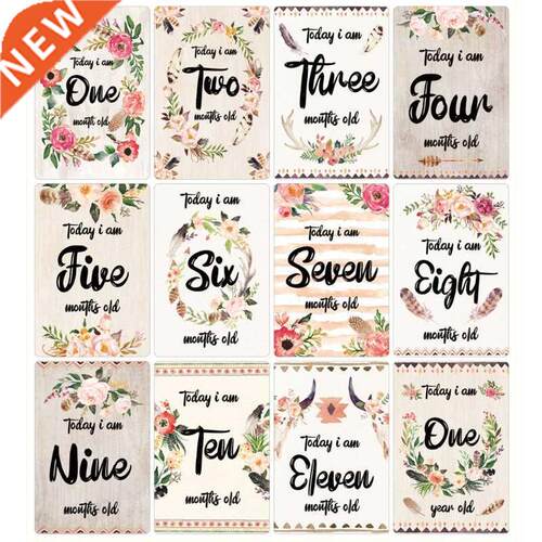 12 Sheet Bby Milestone Crds Newborn Monthly Memoril Growt