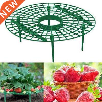 10 Pack Strawberry Supports Keeping Plant Fruit Stand