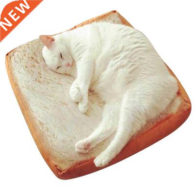 Microblogging with the paragraph cute real life toast bread