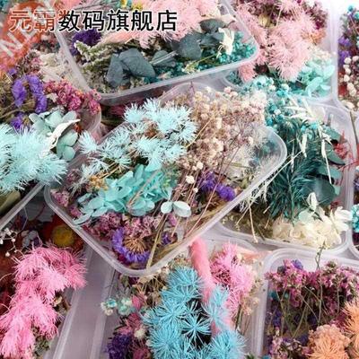 1 ox Real Mix Dried Flowers 适用于 Resin Jewellery Dry Plan