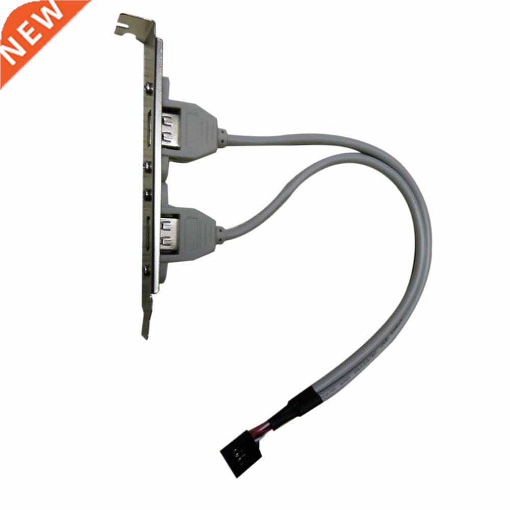 2PCS PC Case Internal 9Pin To USB Female Ble Bit Line USB