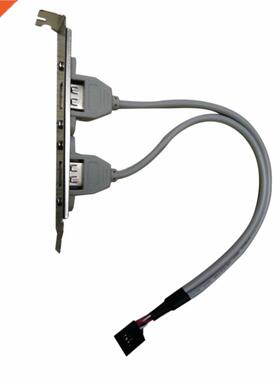 2PCS PC Case Internal 9Pin To USB Female Ble Bit Line USB