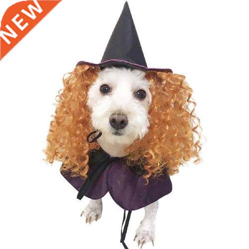 2018 New Design Dog Costumes Halloween Purple Wizard Funny
