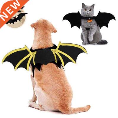 Cats and Dogs Halloween Chest Back Dog Halloween Dress Up